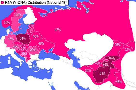 Tylko cztery państwa na świecie mają ponad 50% R1A1. Są to Kirgistan, Tadżykistan, Afganistan i… Polska.jpg